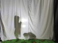IMG_20231121_102225