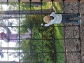 IMG_20230908_085609