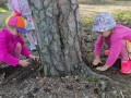 IMG_20230908_091432