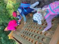 IMG_20230908_092318