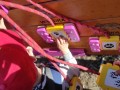 IMG_20230908_092630