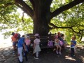 IMG_20230908_104233