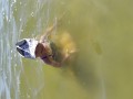 IMG_20230908_130159
