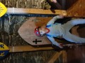 IMG_20230927_124052