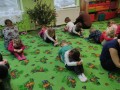 IMG_20221216_102532
