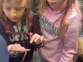 500751756_1268831438584124_1731295708467477272_n