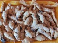 IMG_20221109_115536