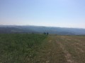 IMG_5207