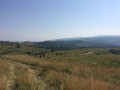 IMG_5208