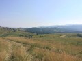 IMG_5210