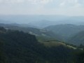 IMG_5218