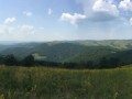 IMG_5219