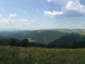 IMG_5220