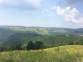 IMG_5221