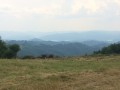IMG_5233
