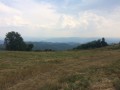 IMG_5234