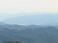 IMG_5235