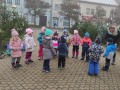 IMG_20221125_082845