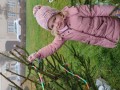 IMG_20221125_083734