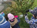 IMG_20221125_083750