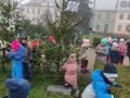 IMG_20221125_084036