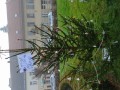 IMG_20221125_084956