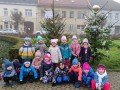 IMG_20221125_085210