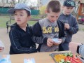 497507489_1256535303147071_8356192962238687245_n