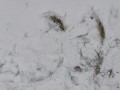 1686850483366