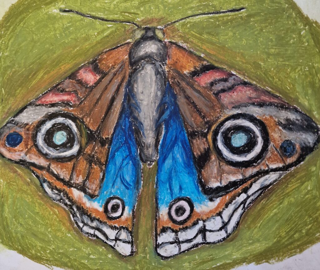 666529758_1565260902274508_138269568839042947_n